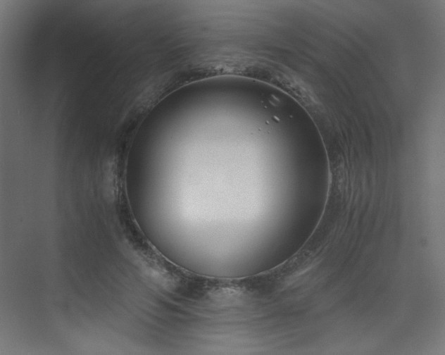 X0000075910594200609151431