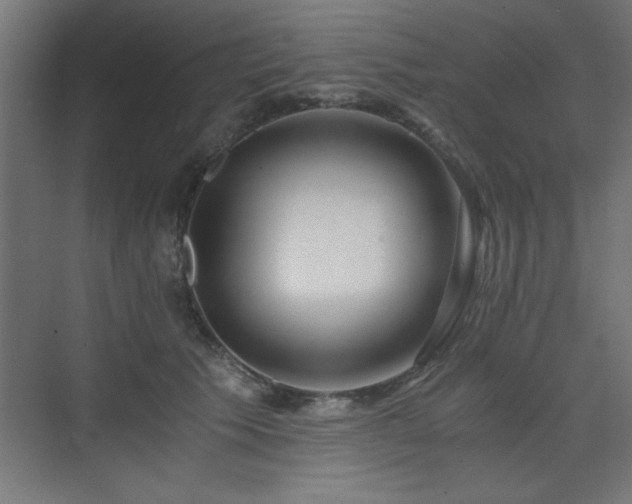 X0000075910609200609151430