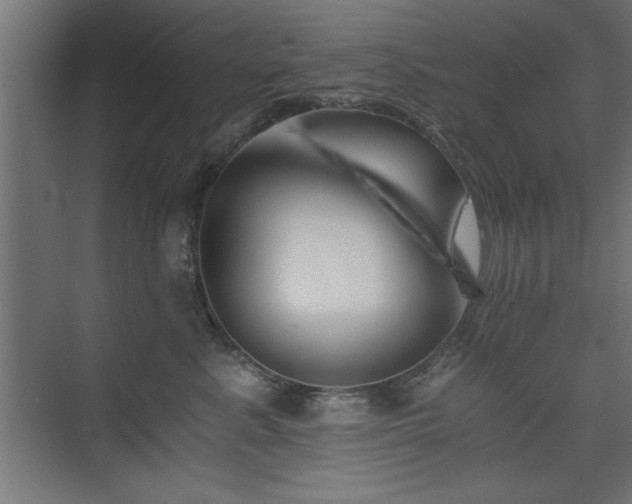 X0000075910619200609151430