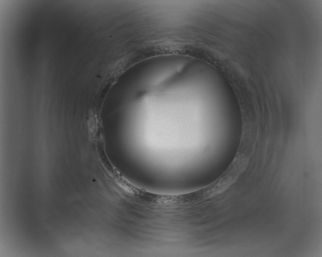 X0000075910624200609151430