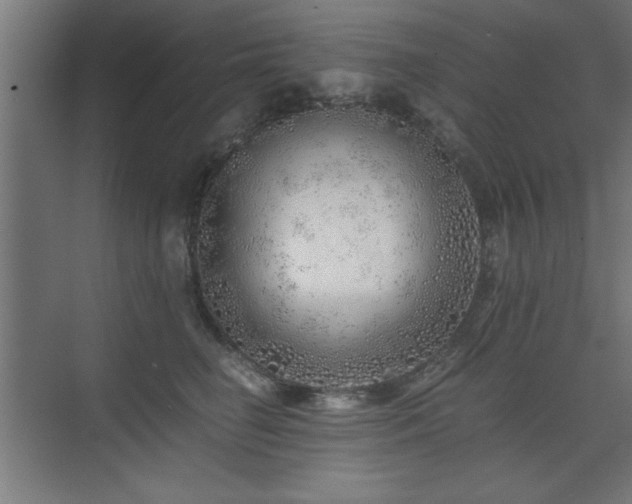 X0000075910662200609151430