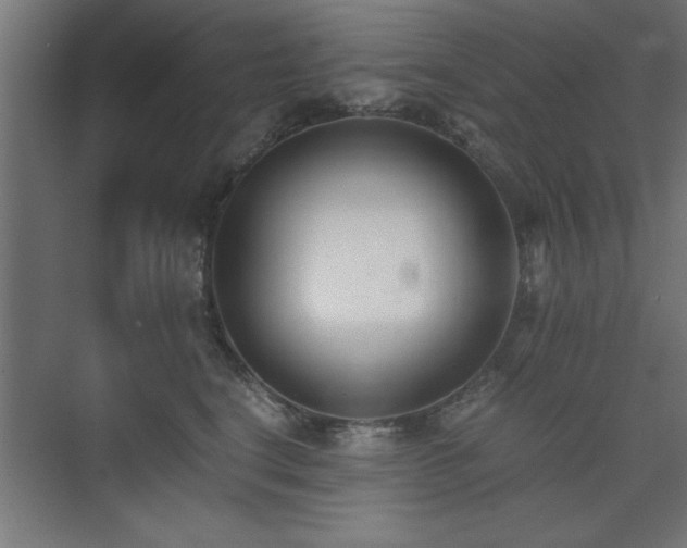 X0000075910664200609151430