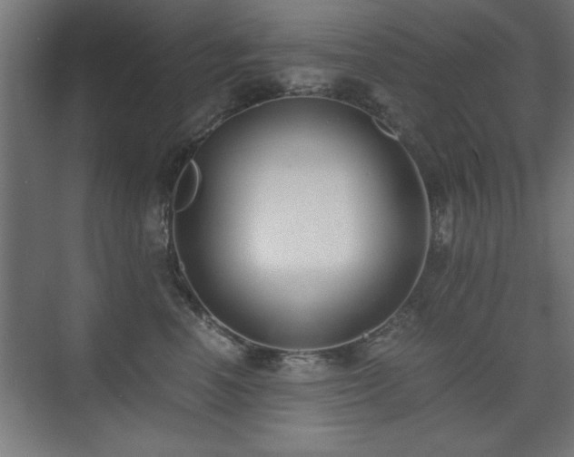 X0000075910666200609151430