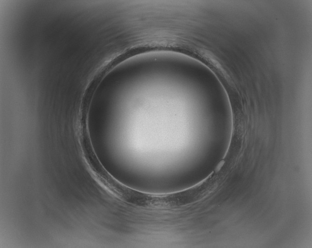 X0000075910677200609151429