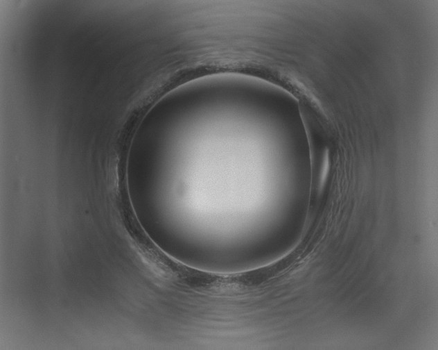 X0000075910685200609151429