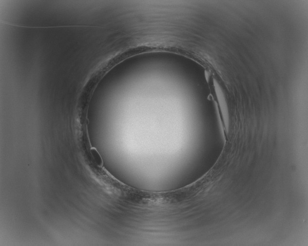 X0000075910688200609151429