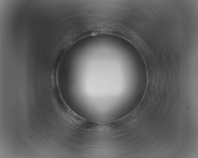 X0000075910696200609151429