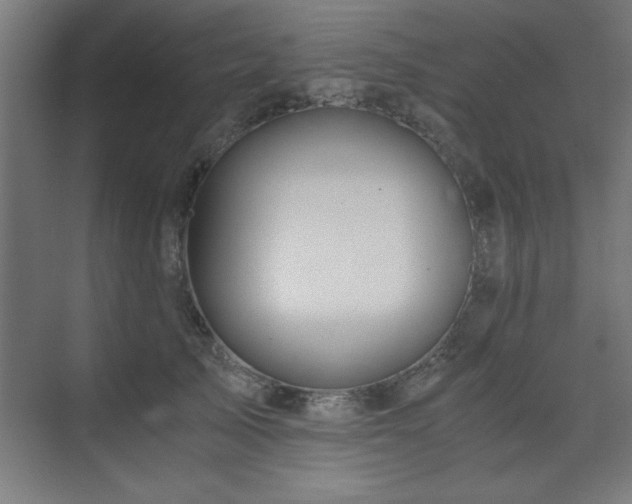 X0000075910705200609151429