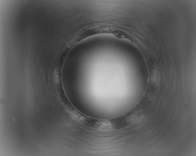 X0000075910715200609151429