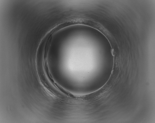 X0000075910722200609151428
