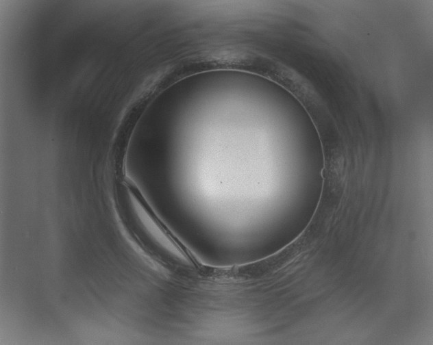 X0000075910734200609151428