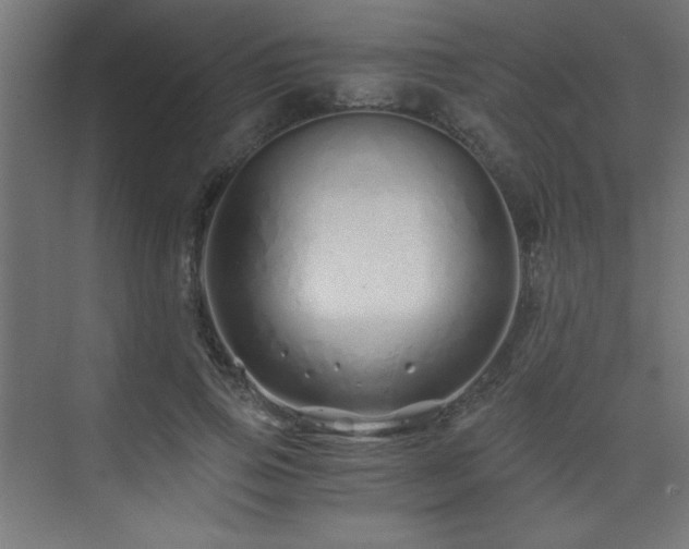 X0000075910741200609151428
