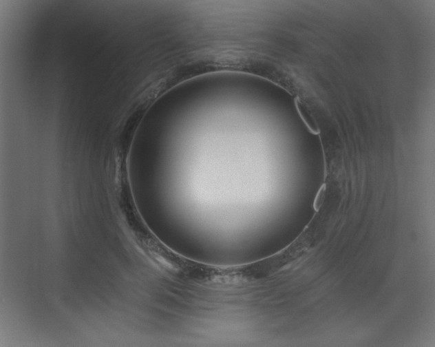 X0000075910744200609151428