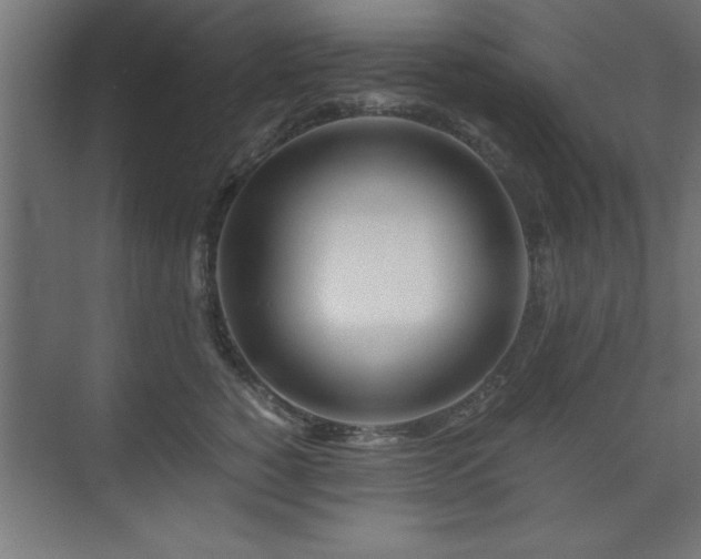 X0000075910760200609151428