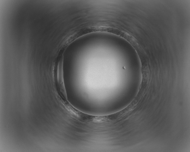 X0000075910762200609151428