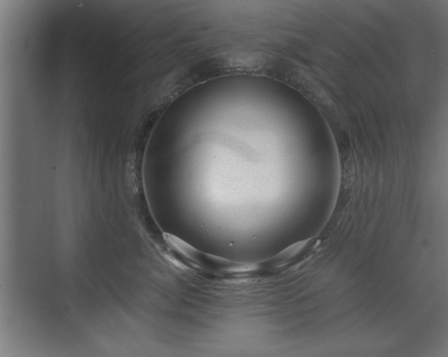 X0000075910764200609151428