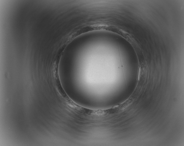X0000075910767200609151429