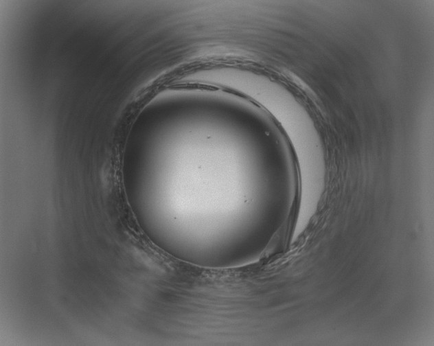 X0000075910775200609151428