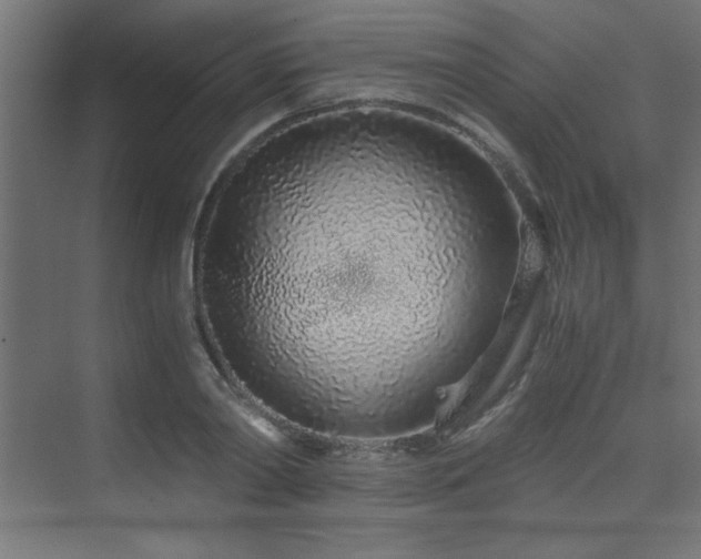 X0000075910790200609151427