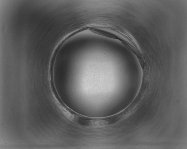 X0000075910795200609151427