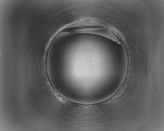 X0000075910816200609151427