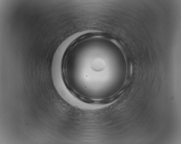 X0000075910818200609151426