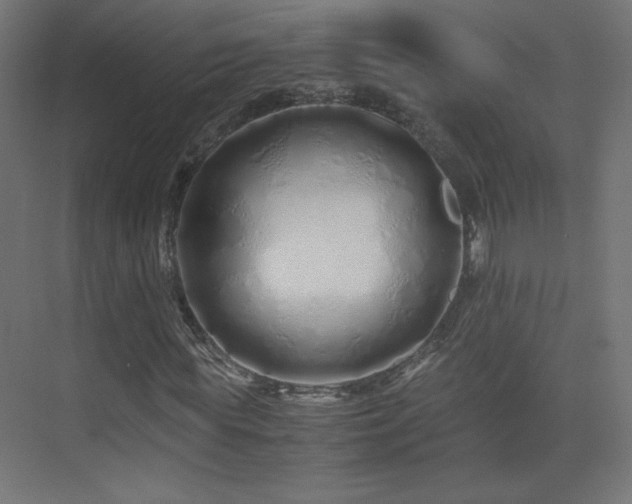 X0000075910819200609151426