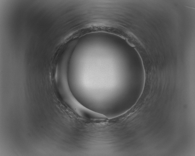 X0000075910822200609151426