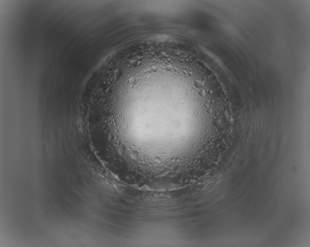 X0000075910823200609151426