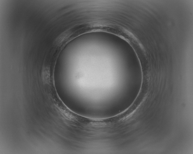 X0000075910825200609151426