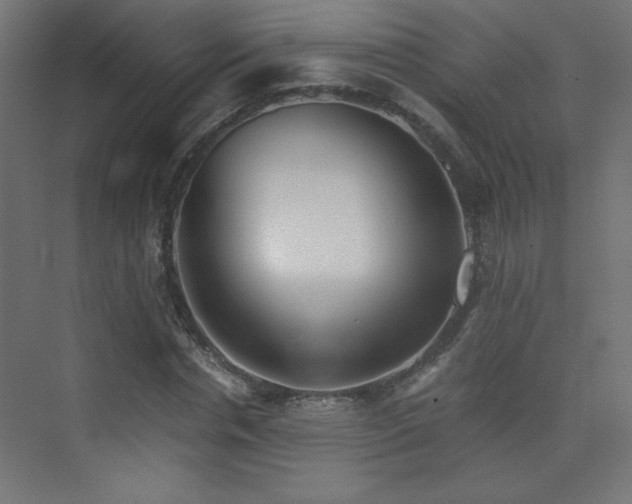 X0000075910826200609151426