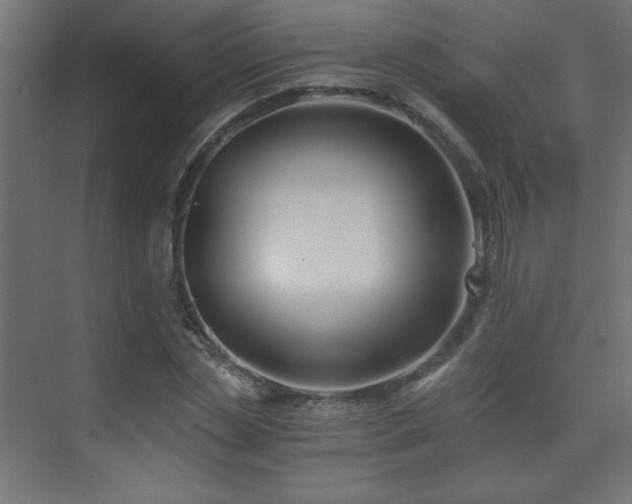 X0000075910829200609151426