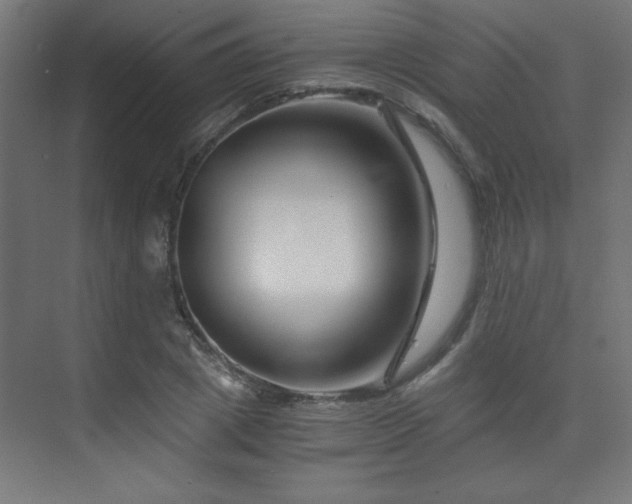 X0000075910833200609151426
