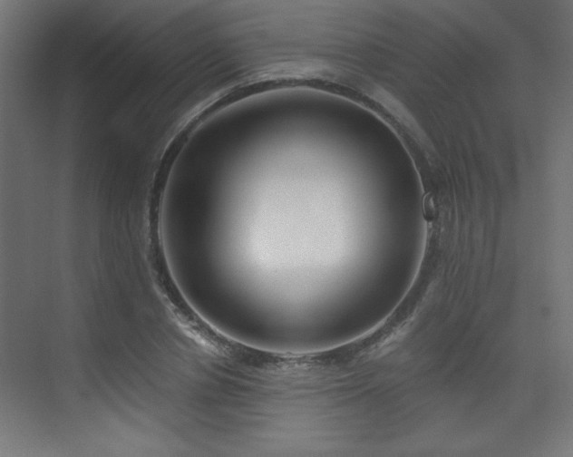 X0000075910834200609151426