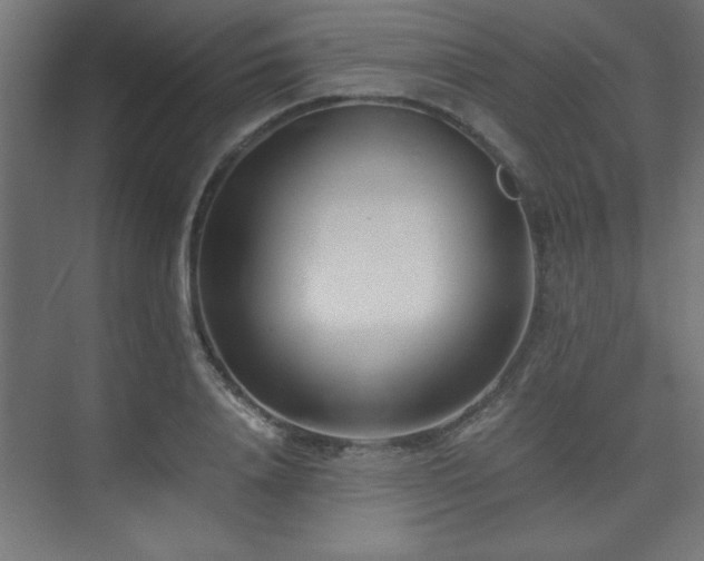X0000075910840200609151427