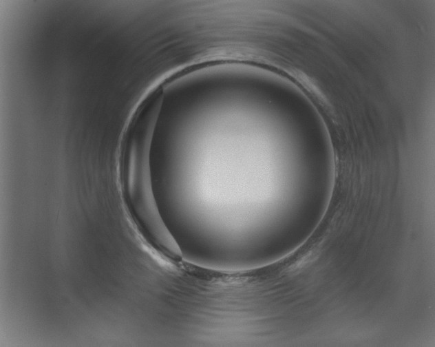 X0000075910846200609151427