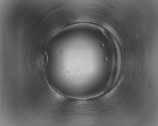 X0000075910849200609151427