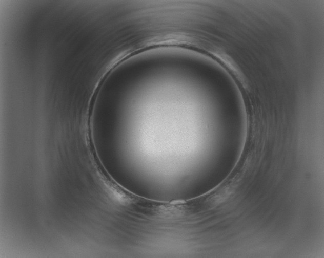 X0000075910850200609151427