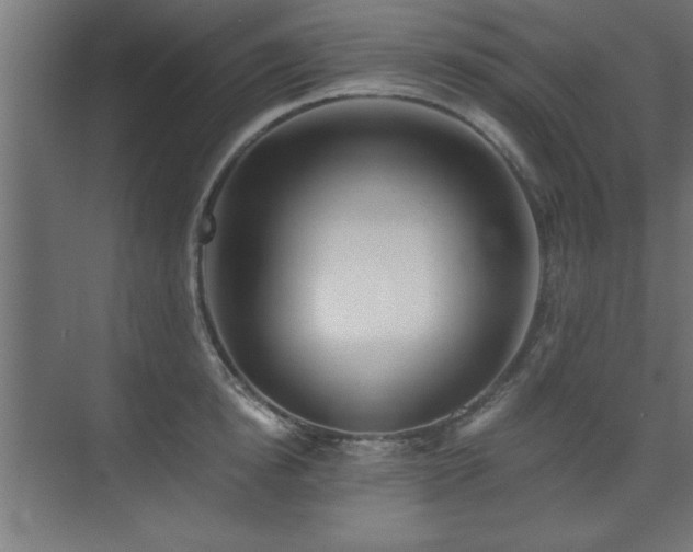 X0000075910854200609151427