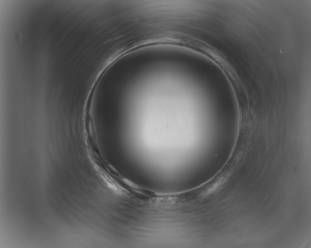 X0000075910858200609151427