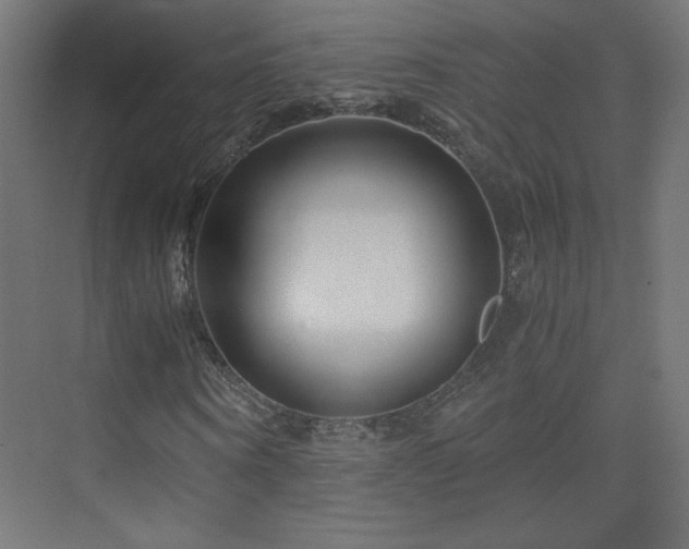 X0000075910866200609151426