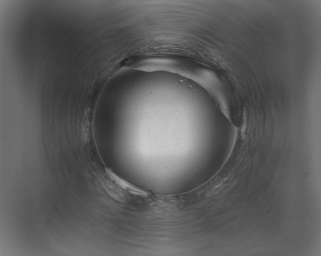 X0000075910868200609151426