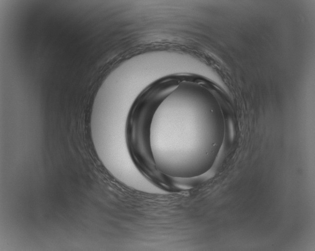 X0000075910869200609151426