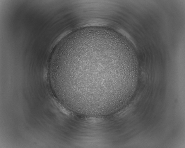 X0000075910874200609151426