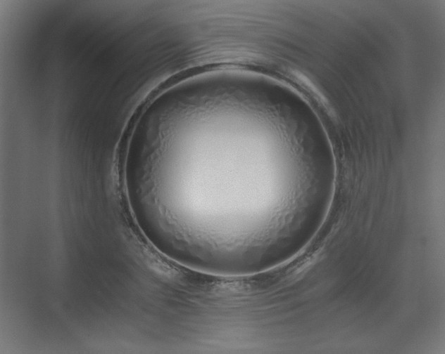 X0000075910883200609151426