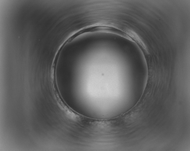 X0000075910900200609151426