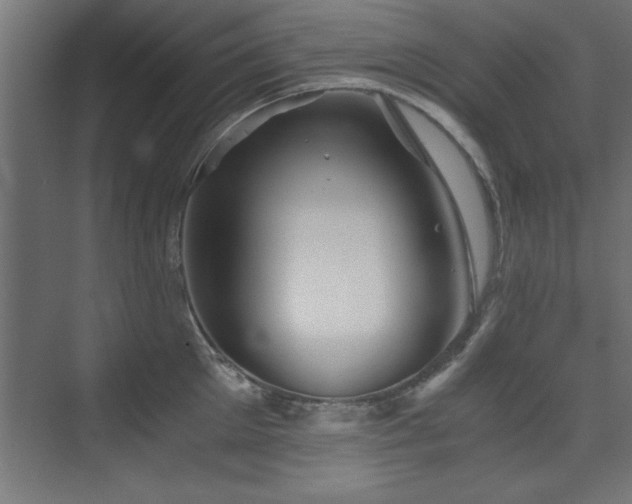 X0000075910905200609151425