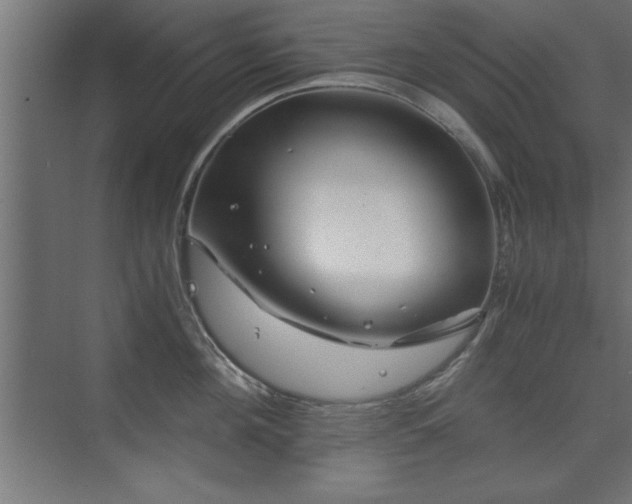 X0000075910908200609151425