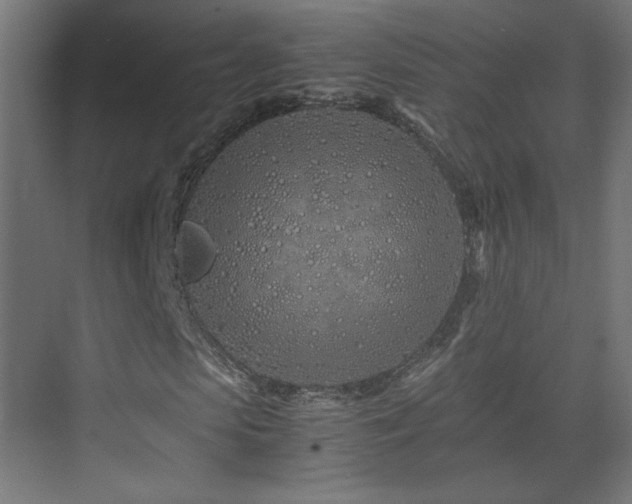 X0000075910913200609151425
