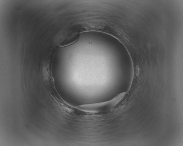 X0000075910915200609151425